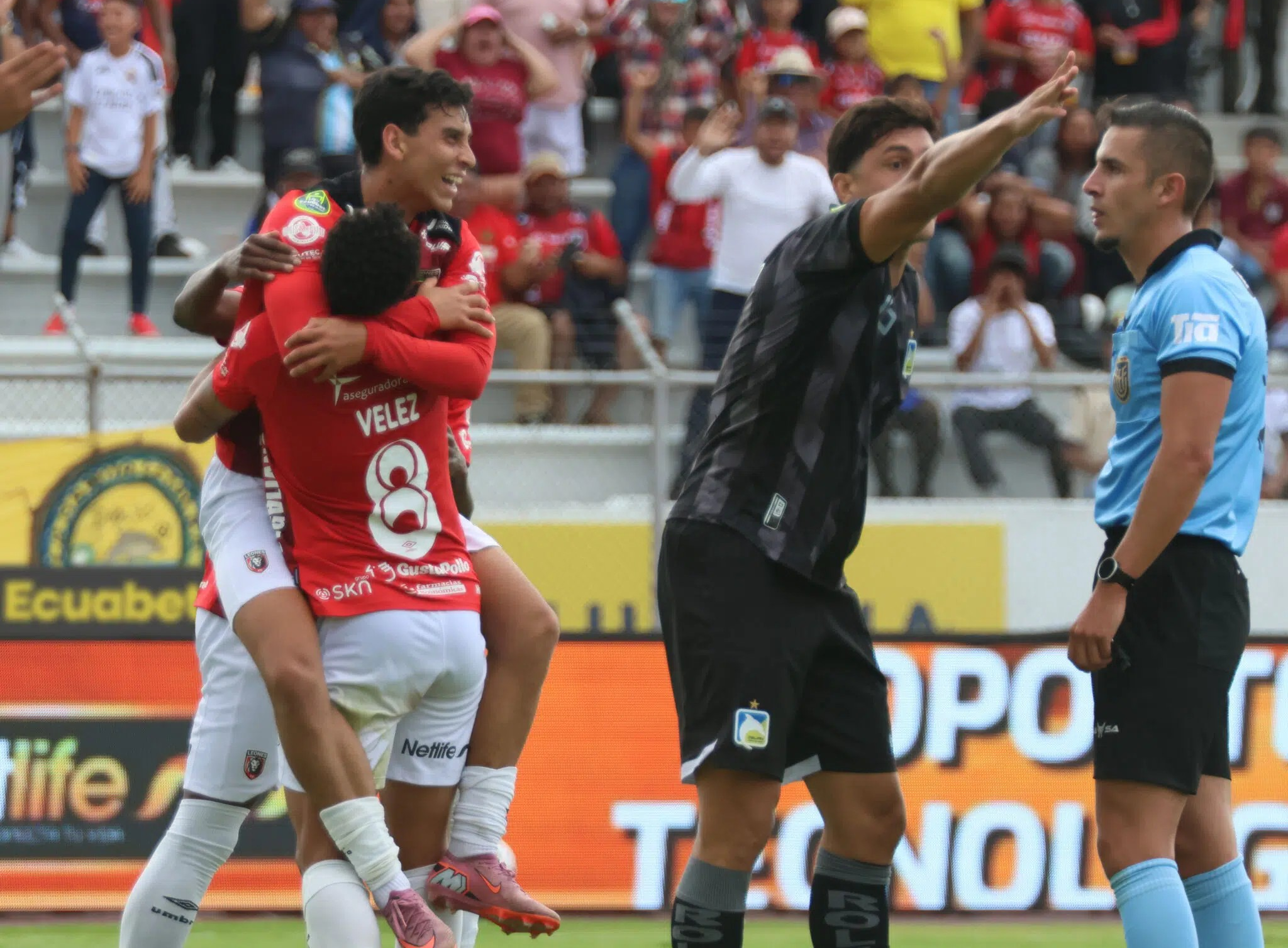 LEONES-DELFIN