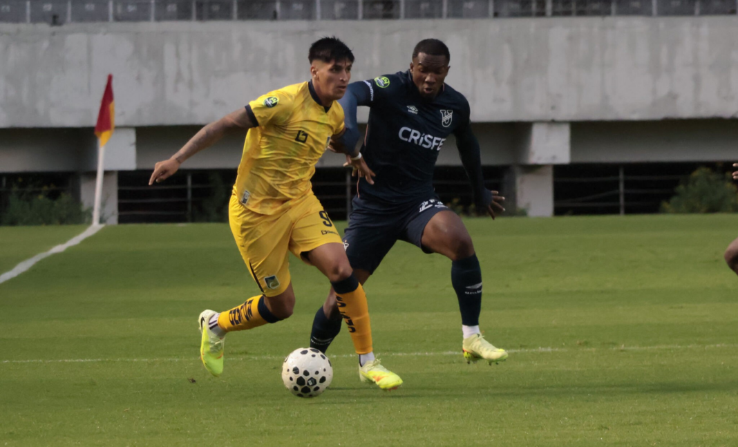 catolica-delfin
